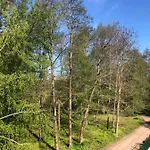 Penzion Rybical Nad Jeziorem 3*