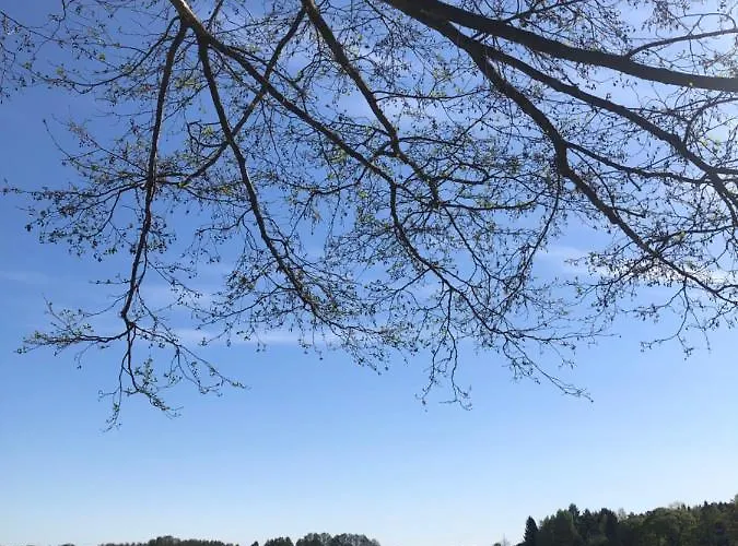 Rybical Nad Jeziorem Guest house Ryn (Warmian-Masurian)