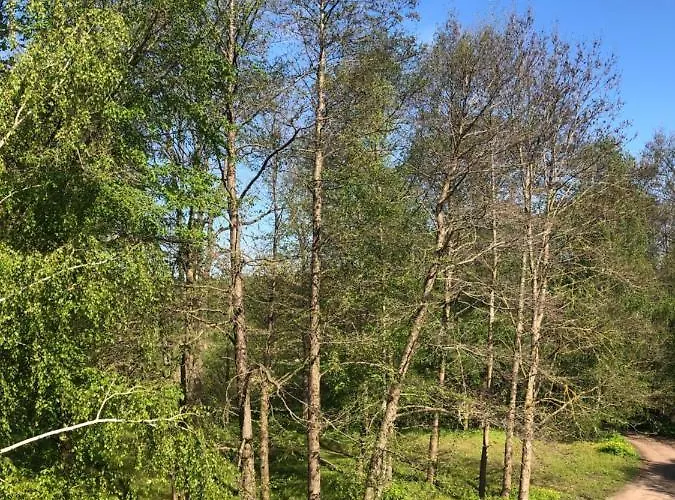 Guest house Rybical Nad Jeziorem 3*